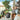 V2HCB360318B23856AA72495831B1BA1B83R6704725P5