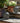 V7H2AA5D4B53EDFED81767180A45A21480CR6613642P2